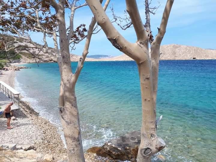 Apartment Lili Lukovo Εξωτερικό φωτογραφία
