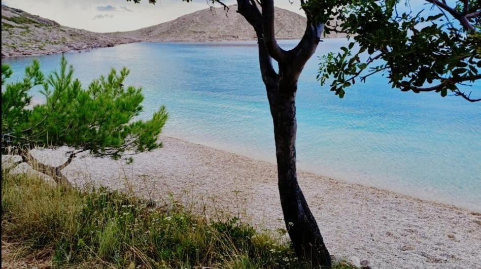 Apartment Lili Lukovo Εξωτερικό φωτογραφία