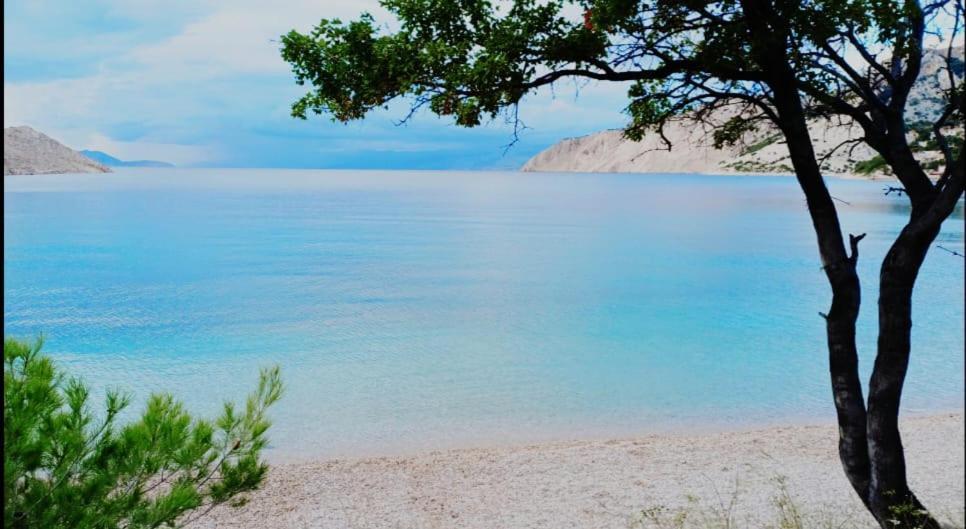 Apartment Lili Lukovo Εξωτερικό φωτογραφία